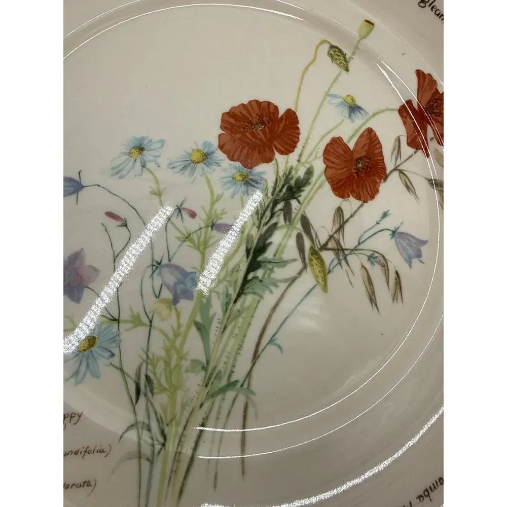 Noritake Country Diary Wildflower Poppy Dinner Plates Set 6 Vintage Ireland 10